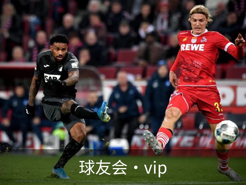 球友会·vip简介